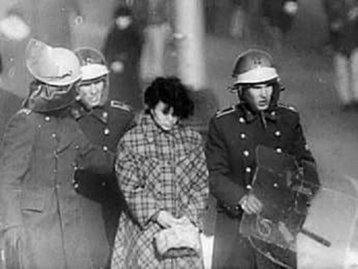 12346390_1657567524502109_4348602260766139149_n