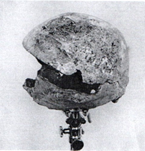 8c0cb6b196a1835857b54671a699d21e-kopiya