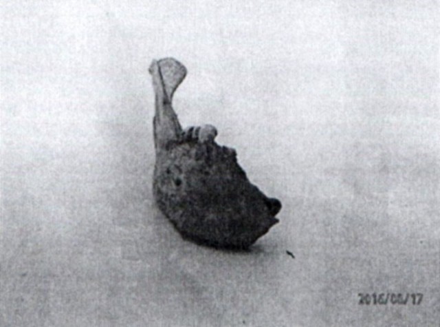 5405e229d8c7eb9f10a033ea65da8298-kopiya