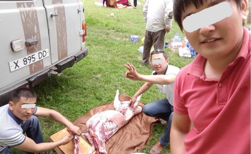 dalanews sariagash01