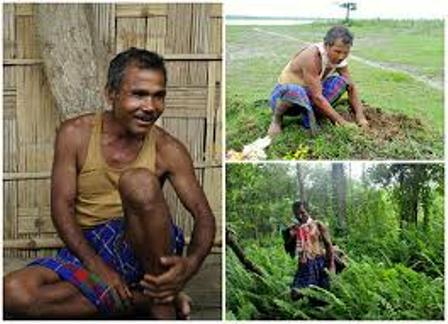 скачанные файлы