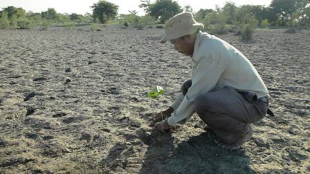 621876_456766234381419_2058207494_o