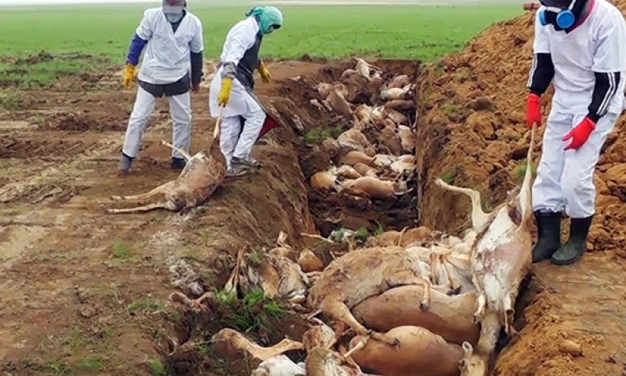 1878fd0fde30ee7b78d8276241770801_XL