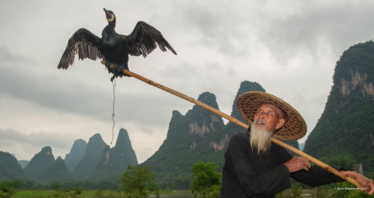 11009884_10152987715872800_4409394068836938129_o