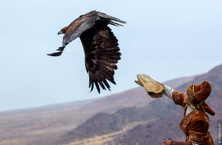 16dbcec4c6157d9d8c1f001d29d04d01_big