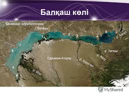 скачанные файлы