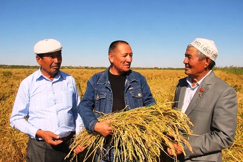 07-09-14-kyzylorda_jatva-1